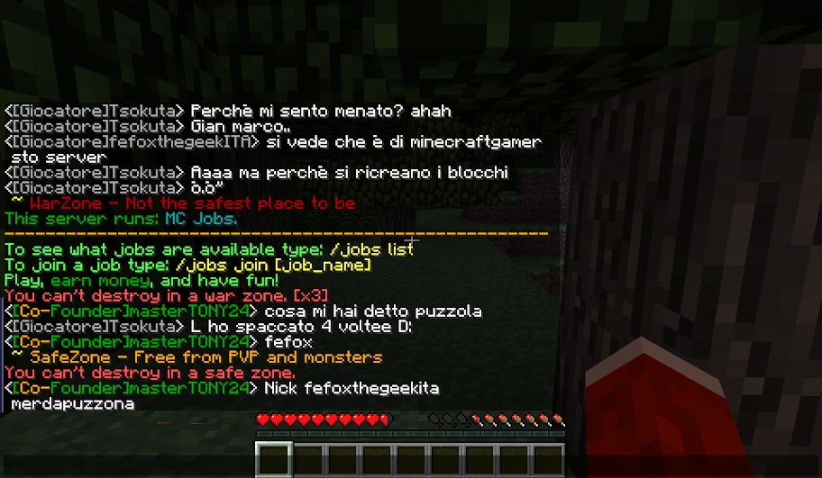 Il Mio Mondo Survival [1.0.0] - Screenshot e Video 