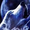 Nefti Wolf