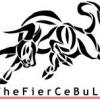 TheFierCeBuLL